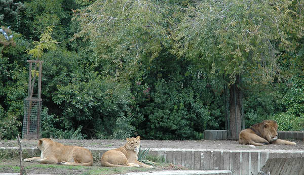 DSC_0019_edited-1