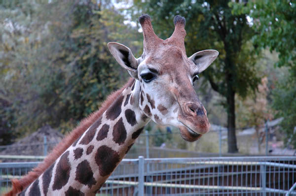 DSC_0020_edited-1