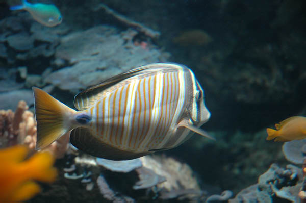 DSC_0029_edited-1