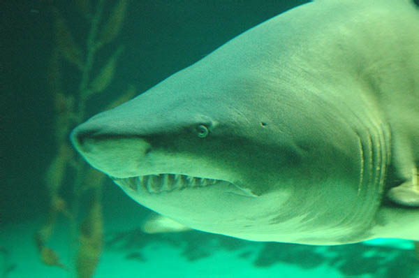 DSC_0030_edited-1