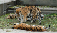DSC_0018_edited-1