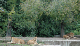 DSC_0019_edited-1