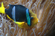 DSC_0027_edited-1