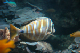 DSC_0029_edited-1