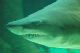 DSC_0031_edited-1
