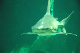 DSC_0034_edited-1