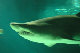 DSC_0037_edited-1
