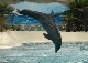 DSC_0052_edited-1