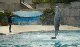 DSC_0054_edited-1