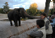 DSC_0066_edited-1